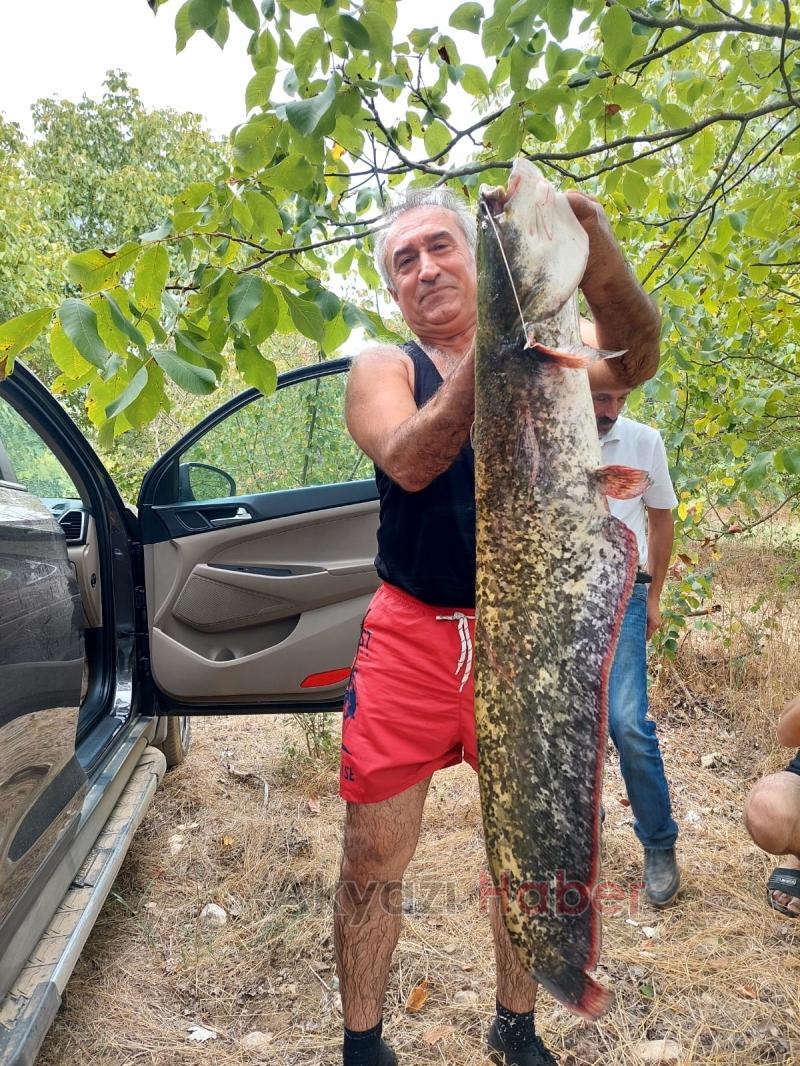 Akyazılı balıkçılar Bilecik'ten bol balıkla döndü