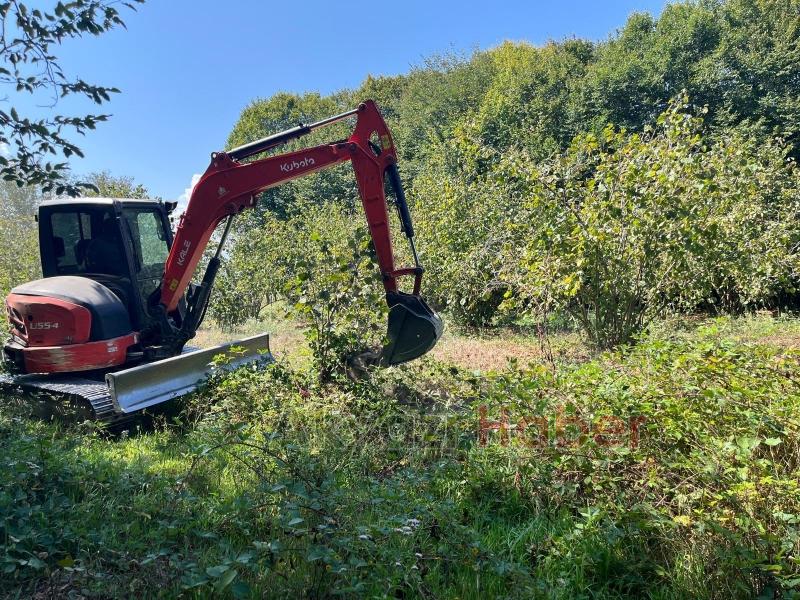 Orman sahasına dikilen fındık ağaçları söküldü