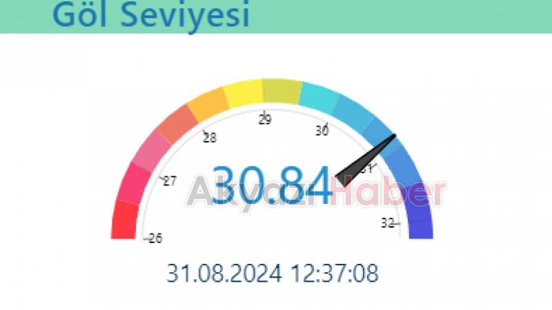 Sapanca Gölü'nün su seviyesi hızla düşüyor