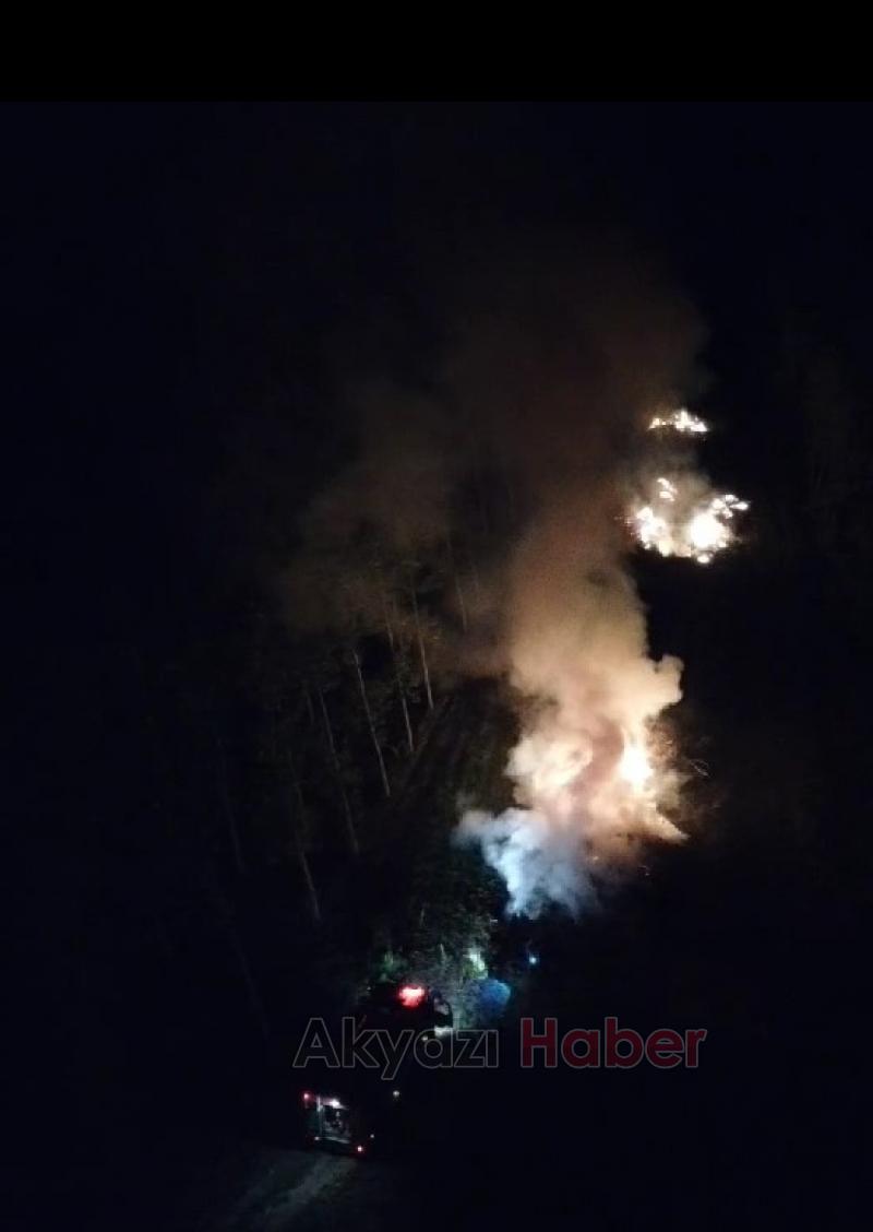 Kavaklıkta yangın