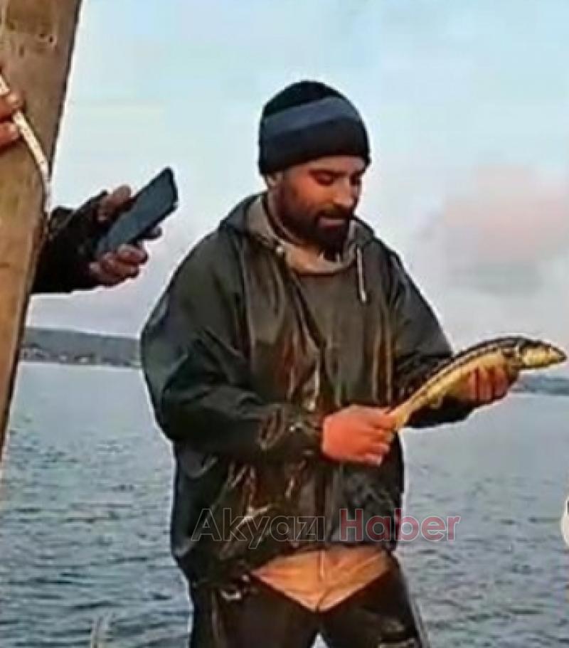 Nesli tükenmekte; Balıkçıların ağına takıldı
