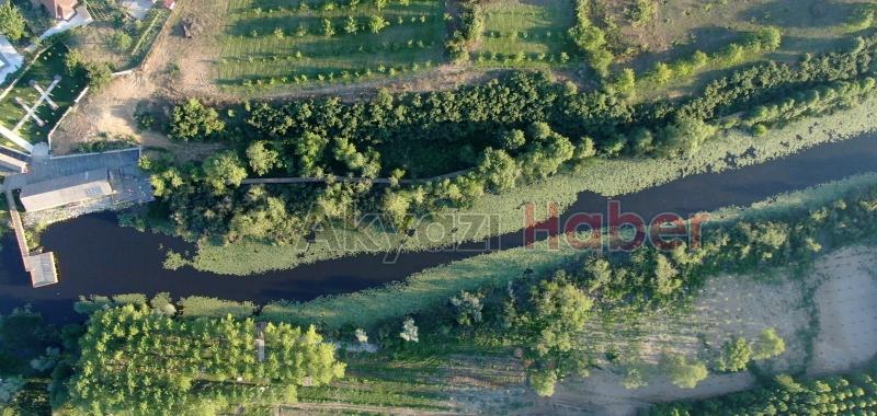 Acarlar Longozu yaz sezonunda turizmin gözdesi oldu