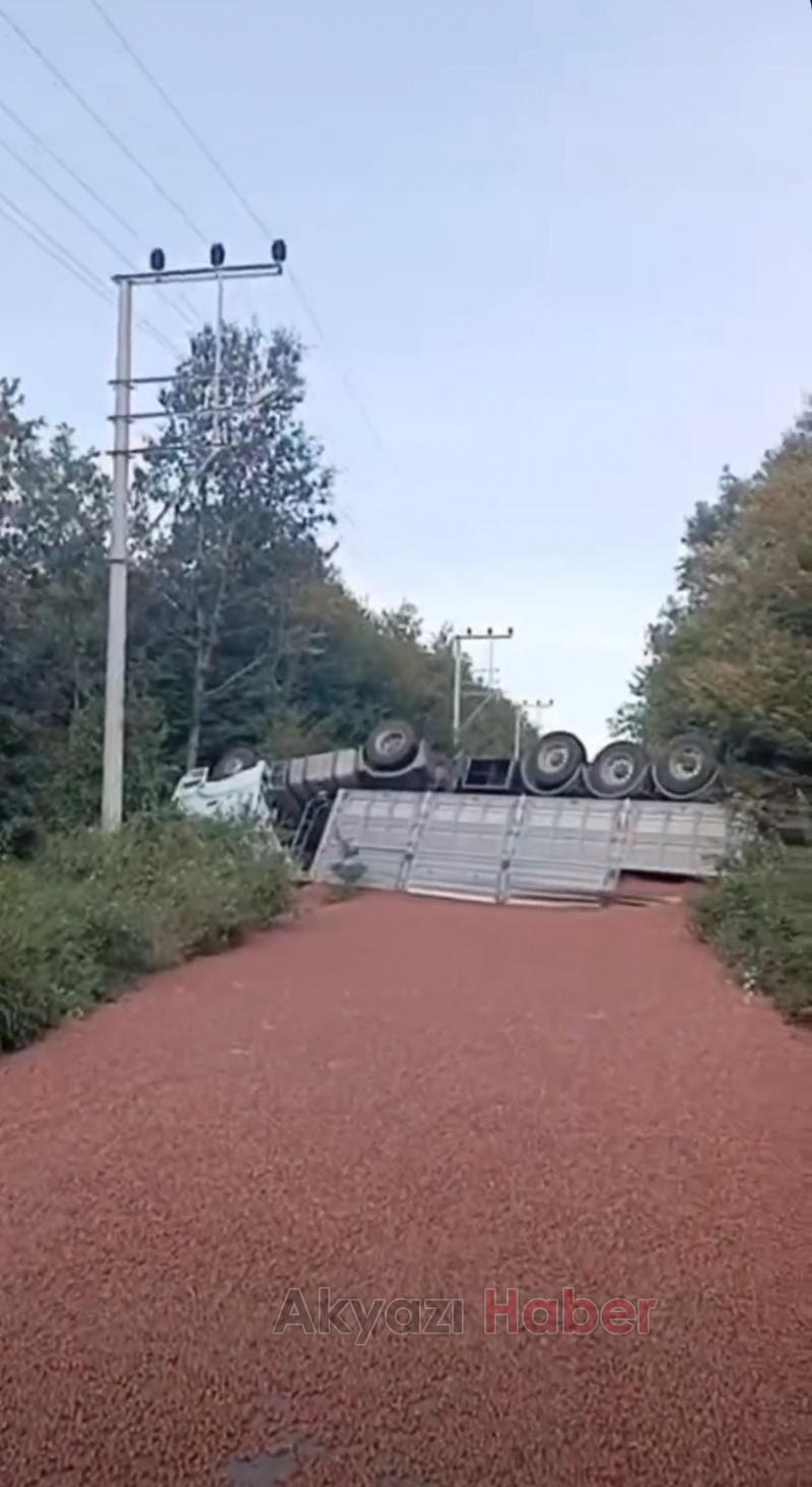 Kamyon takla attı Tonlarca fındık yola saçıldı