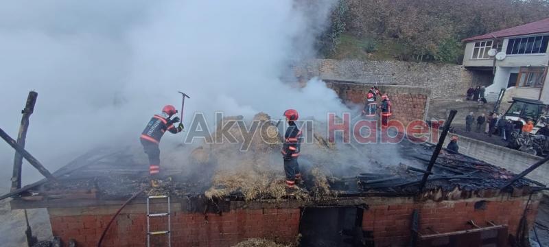 Yangın samanlığı ve 2 traktörü küle çevirdi