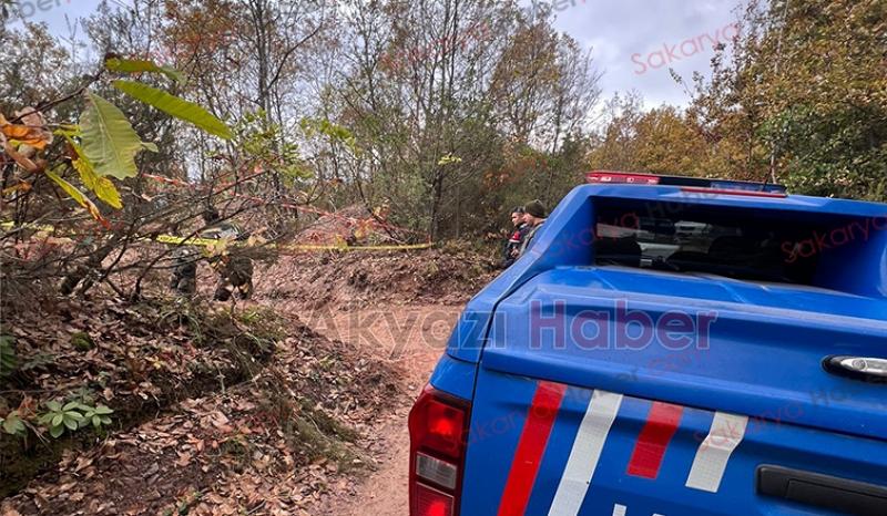 İş makinesi getirip ormanda define ararken yakalandılar