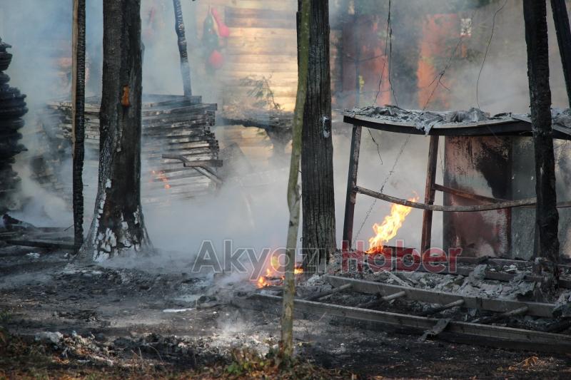 Akyazı'da ahşap tesis alev alev yandı