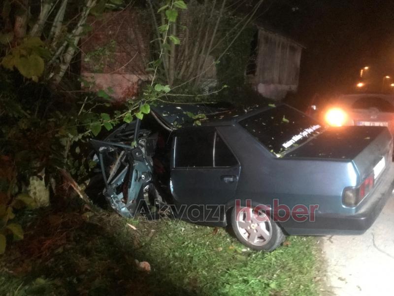 Ağaca çarpan otomobilin sürücüsü yaralandı