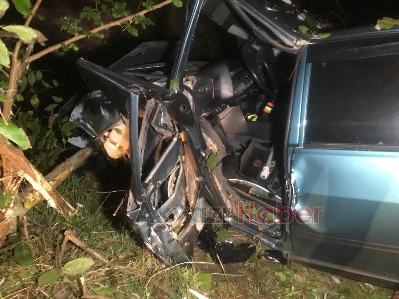 Ağaca çarpan otomobilin sürücüsü yaralandı