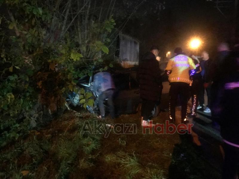 Ağaca çarpan otomobilin sürücüsü yaralandı