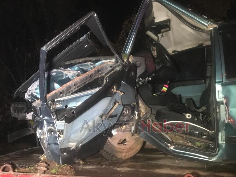 Ağaca çarpan otomobilin sürücüsü yaralandı