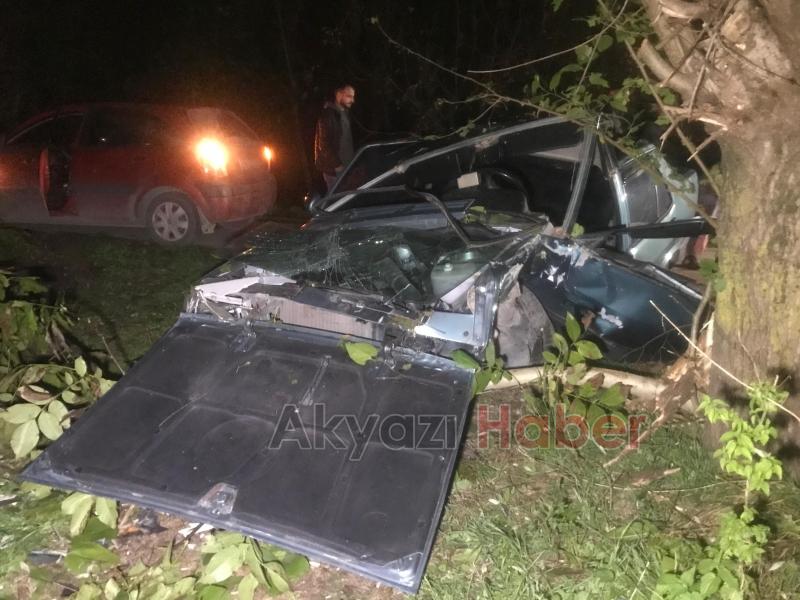 Ağaca çarpan otomobilin sürücüsü yaralandı