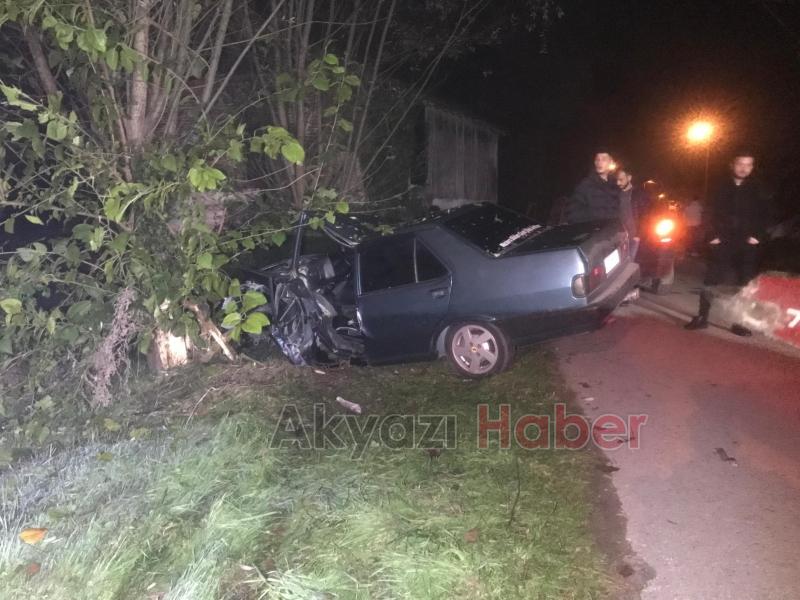 Ağaca çarpan otomobilin sürücüsü yaralandı