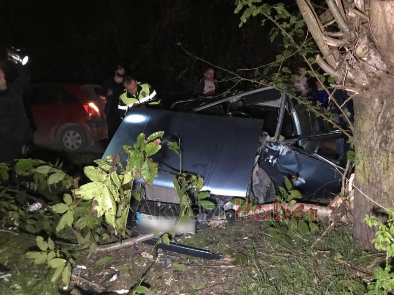 Ağaca çarpan otomobilin sürücüsü yaralandı