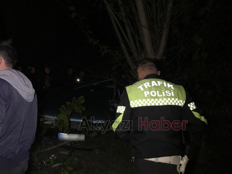 Ağaca çarpan otomobilin sürücüsü yaralandı