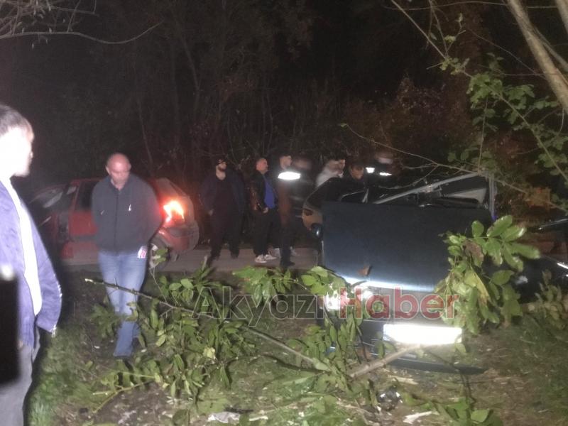 Ağaca çarpan otomobilin sürücüsü yaralandı