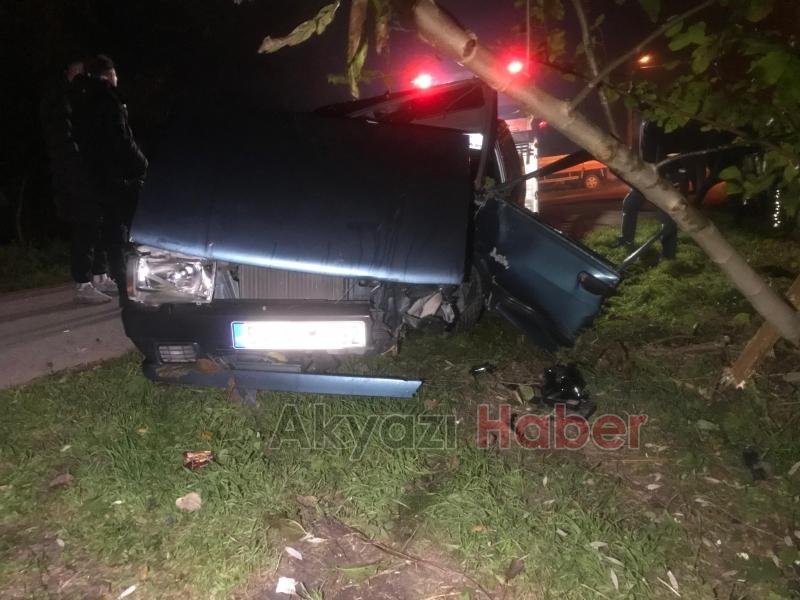 Ağaca çarpan otomobilin sürücüsü yaralandı
