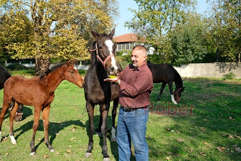 Akyazı da yetiştirdiği atlar pistlerde boy gösteriyor