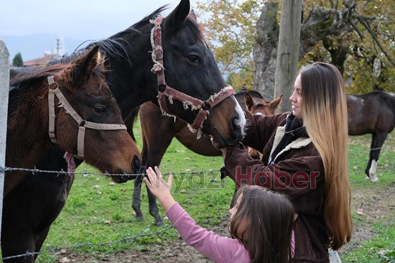 Akyazı da yetiştirdiği atlar pistlerde boy gösteriyor