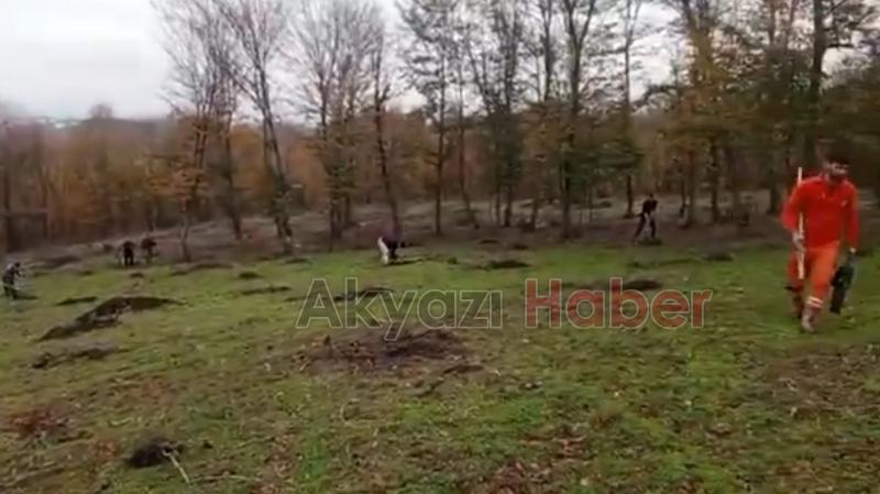 Akyazı ve Karapürçek'te orman işgali son buldu