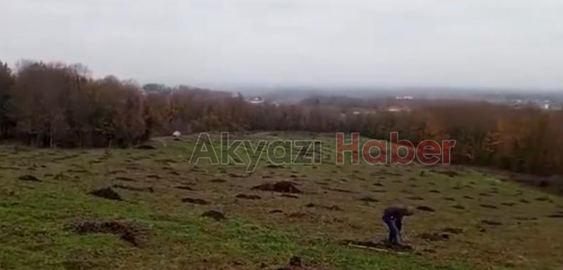 Akyazı ve Karapürçek'te orman işgali son buldu