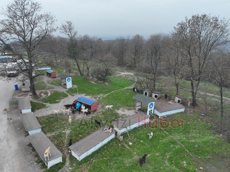 Hastane gıda fazlalıkları hayvan barınağına