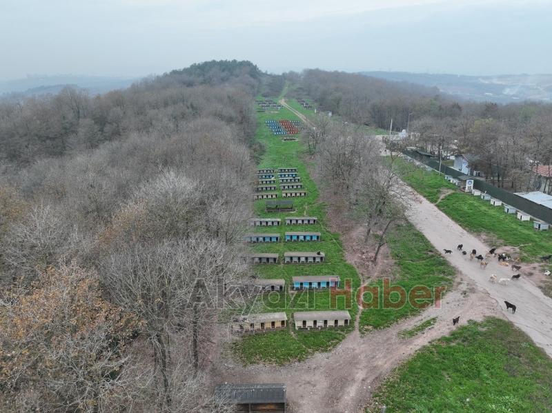 Hastane gıda fazlalıkları hayvan barınağına
