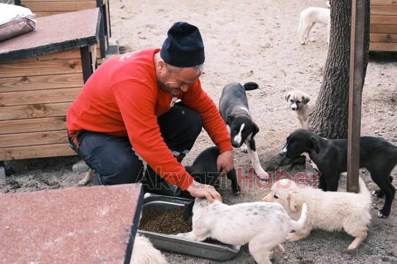 Hastane gıda fazlalıkları hayvan barınağına