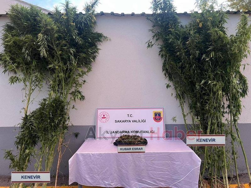 Akyazı'da polis ve jandarmadan uyuşturucuya darbe