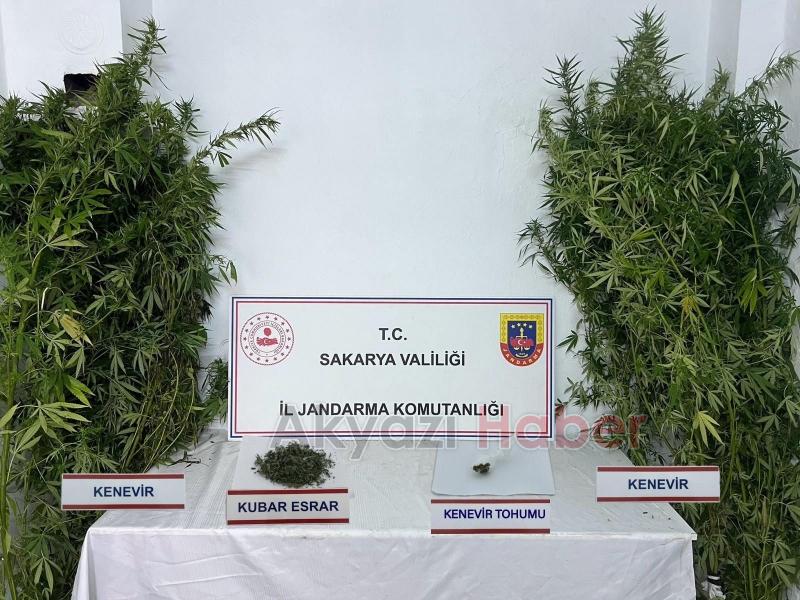 Akyazı'da polis ve jandarmadan uyuşturucuya darbe