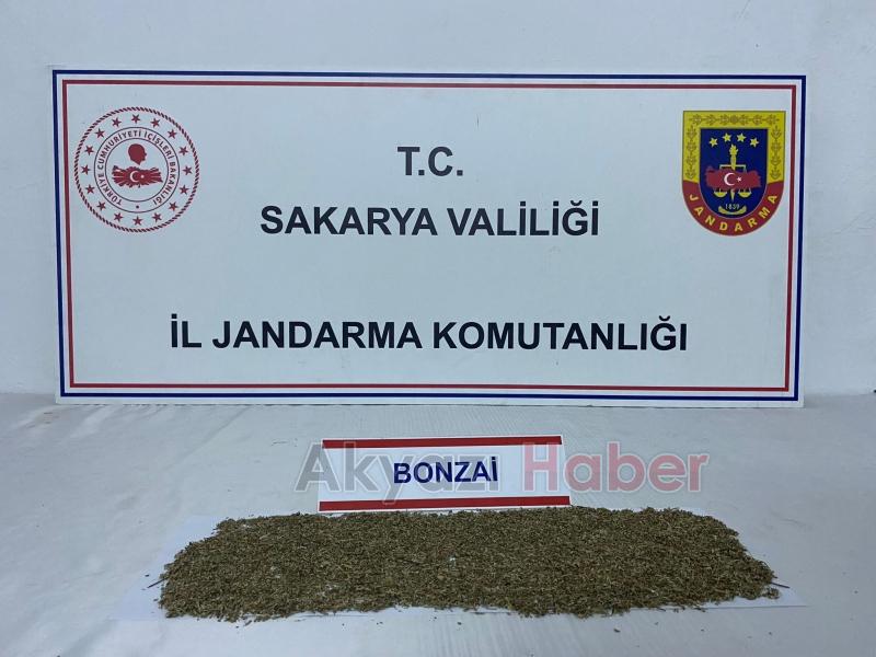 Akyazı'da polis ve jandarmadan uyuşturucuya darbe
