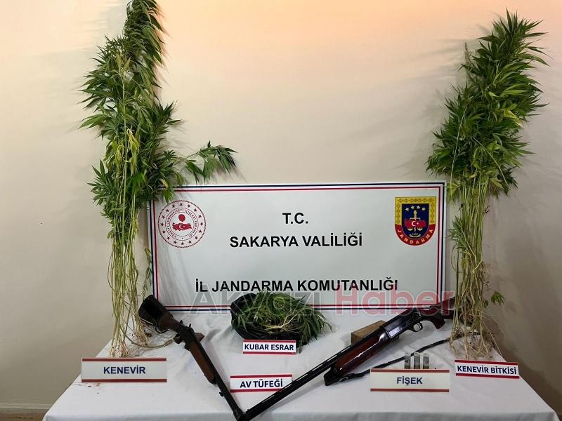 Akyazı'da polis ve jandarmadan uyuşturucuya darbe