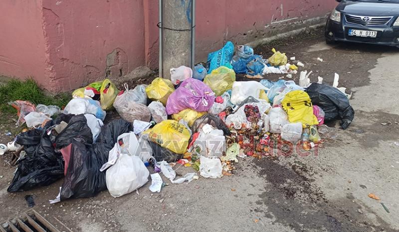 Akyazıda sokak çöplüğe döndü