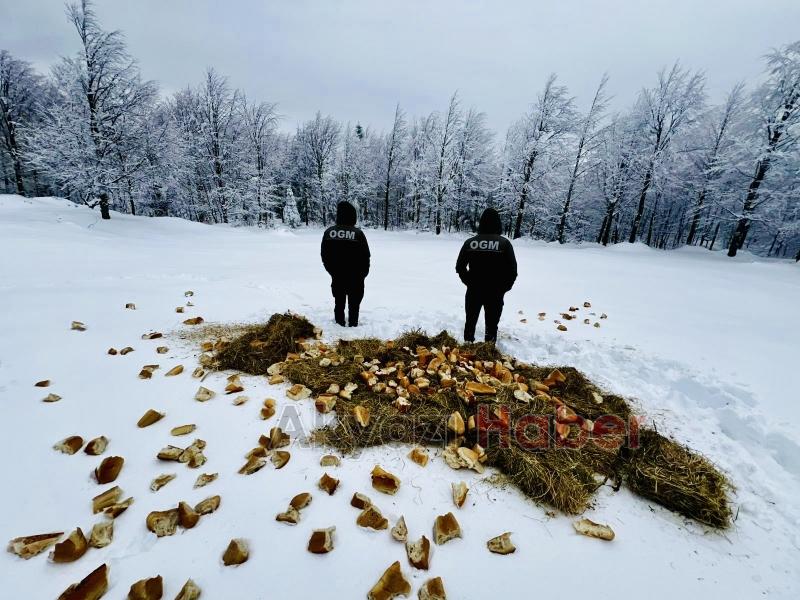 Yaban hayvanları için yiyecek bıraktılar