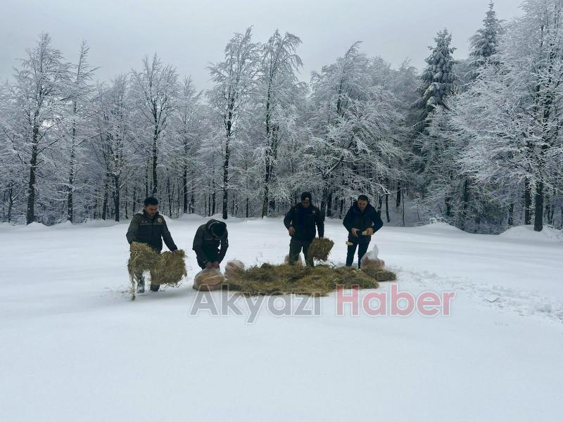 Yaban hayvanları için yiyecek bıraktılar