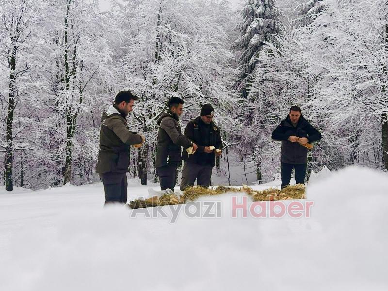 Yaban hayvanları için yiyecek bıraktılar