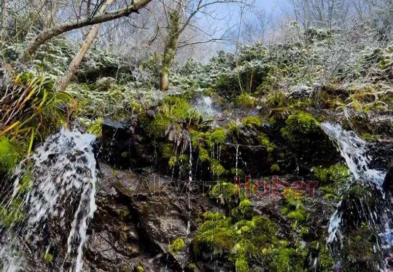 Sakarya'da karla gelen güzellik