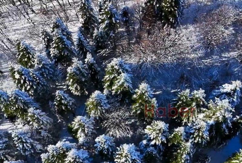 Sakarya'da karla gelen güzellik
