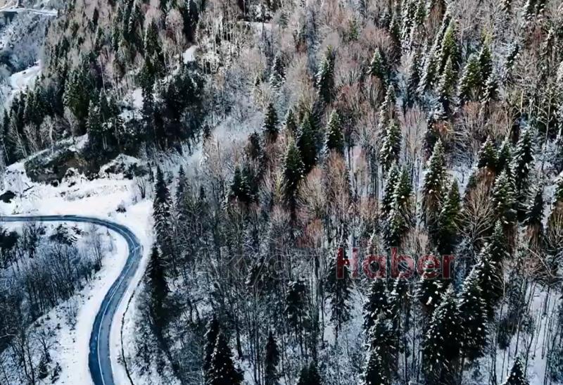 Sakarya'da karla gelen güzellik