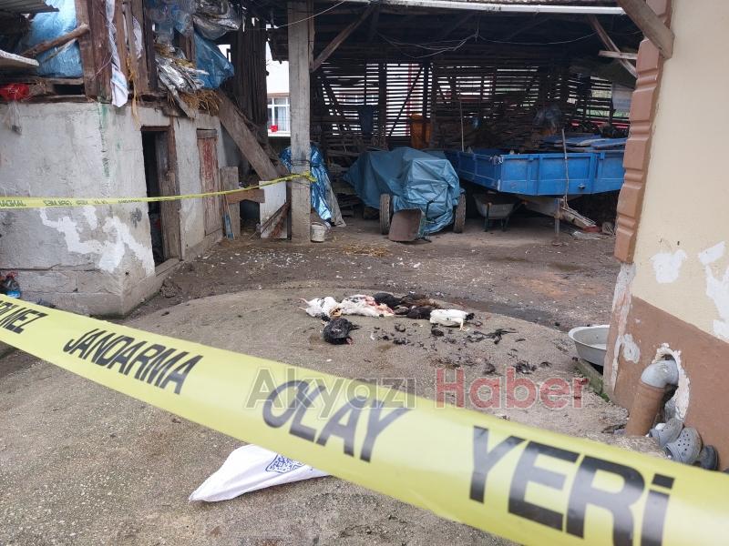 Horozlarını verilmesine kızıp dehşet saçan zanlı teslim oldu