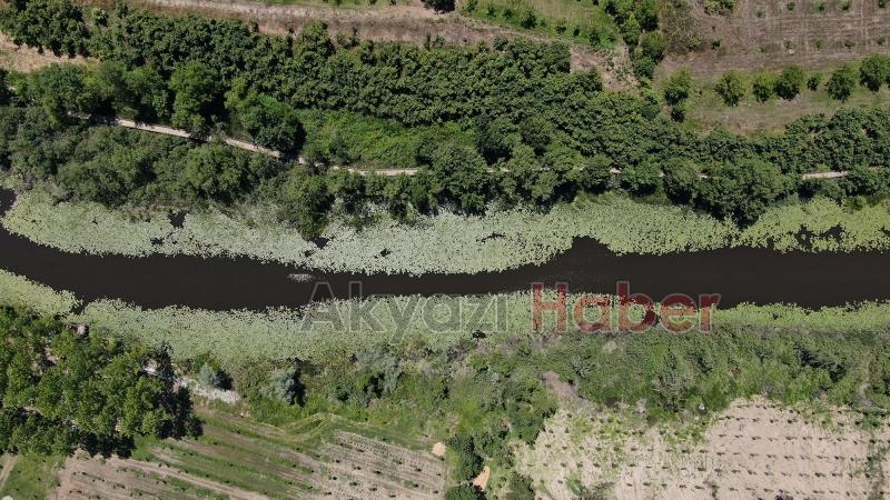 Longoz ve İl Ormanına rekor ziyaretçi rakamı