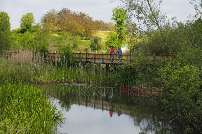 Longoz ve İl Ormanına rekor ziyaretçi rakamı
