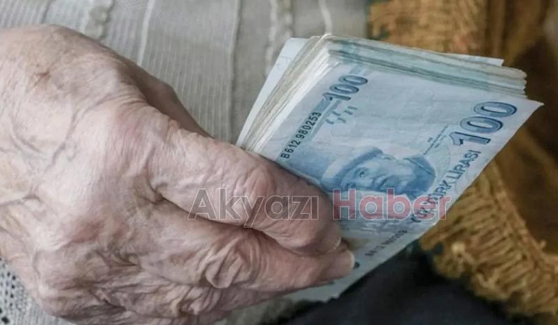 Emeklilerin maaş zamları e-Devlet'te erişime açıldı