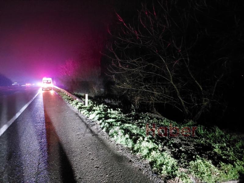 Panelvan minibüs kaza yaptı 2 yaralı