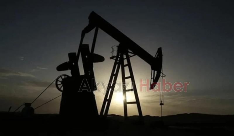 Bolu'daki yangın faciasına ilişkin araştırma komisyonu kurulması kararı Resmi Gazete'de