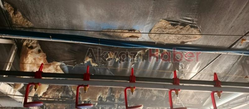 Tavuk çiftliğinde yangın çıktı