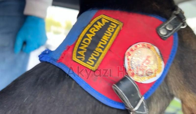 Sakarya'da kaçakçılık operasyonu