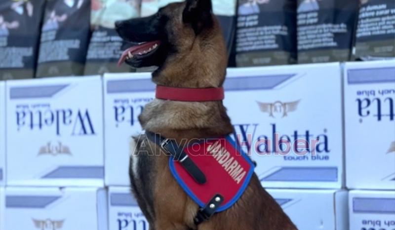 Sakarya'da kaçakçılık operasyonu