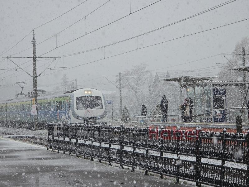 Sakarya'dan kar fotoğrafları
