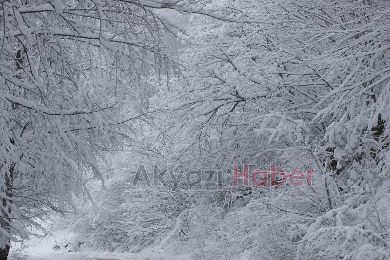 Sakarya'dan kar fotoğrafları