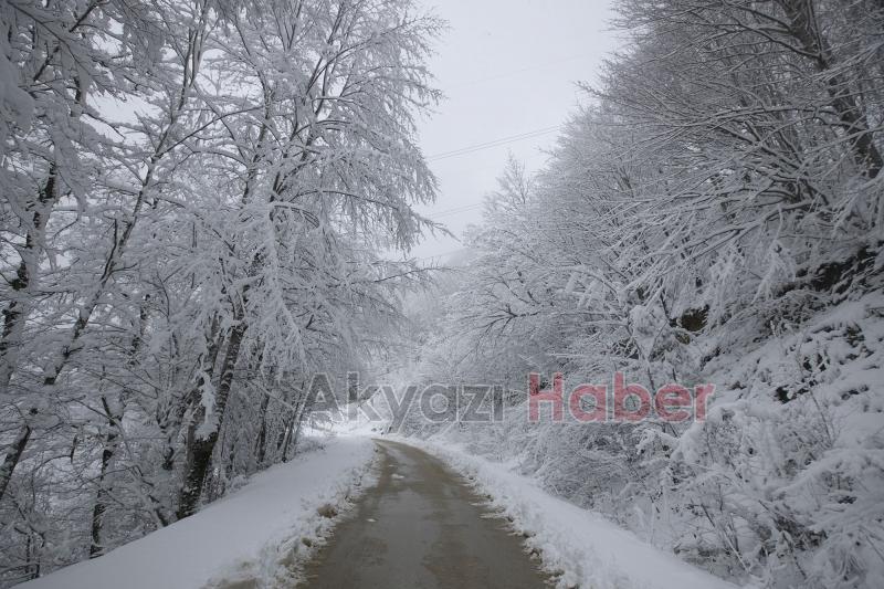 Sakarya'dan kar fotoğrafları